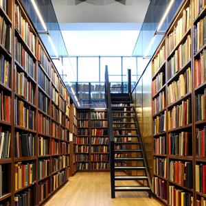 Библиотеки Нового Света