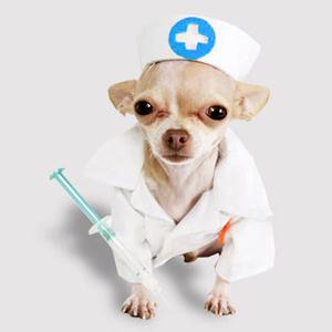 Ветпомощь на дому Нового Света